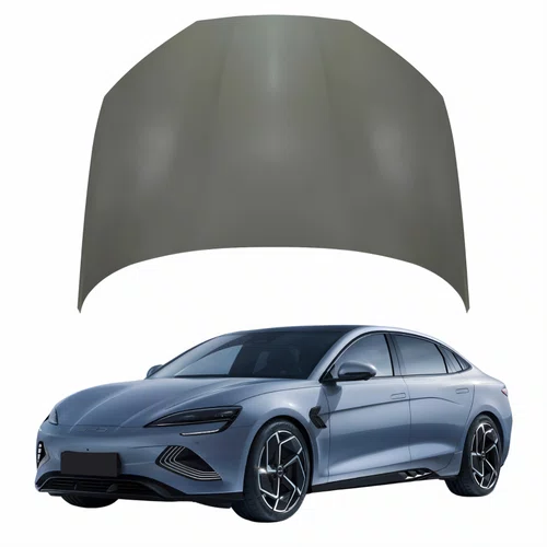 Capô Byd Seal 2023 2024 2025