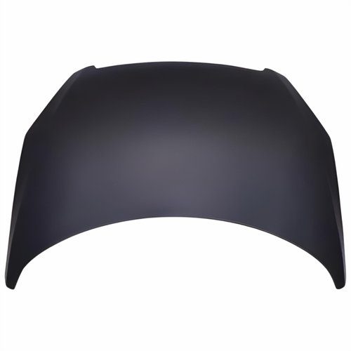 Capo Peugeot 307 2001 Até 2006