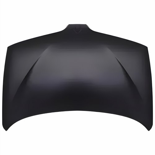 Capo Renault Scenic 1997 1998 1999 2000