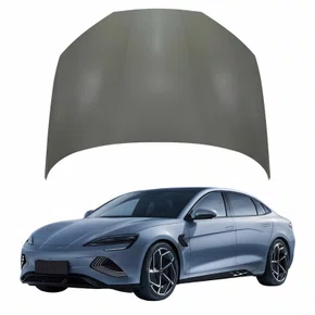 Capô Byd Seal 2023 2024 2025