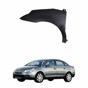Paralama Citroen C4 Pallas 2006 até 2012 Lado Esquerdo Motorista