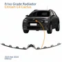 Friso Grade Radiador Citroen C4 Cactus 2019 Até 2024 Inferior Cromado