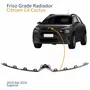 Friso Grade Radiador Citroen C4 Cactus 2019 Até 2024 Superior Cromado