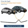 Friso do Capô Citroen C4 Pallas Hatch Sedan 2006 Até 2012 Cromado