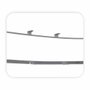 Friso Grade Central Parachoque Ford Fusion 2010 2011 2012 Cromado