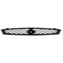 Grade Radiador Ford Focus 2004 2005 2006 2007
