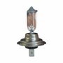 Lampada Halogena H1