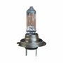 Lampada Halogena H7