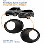 Par Moldura Farol Auxiliar Peugeot 207 Hoggar 2008 Até 2014